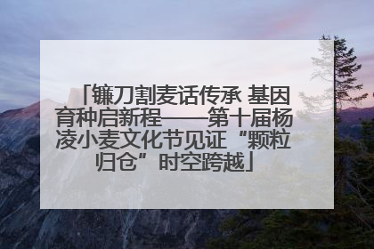 镰刀割麦话传承 基因育种启新程——第十届杨凌小麦文化节见证“颗粒归仓”时空跨越